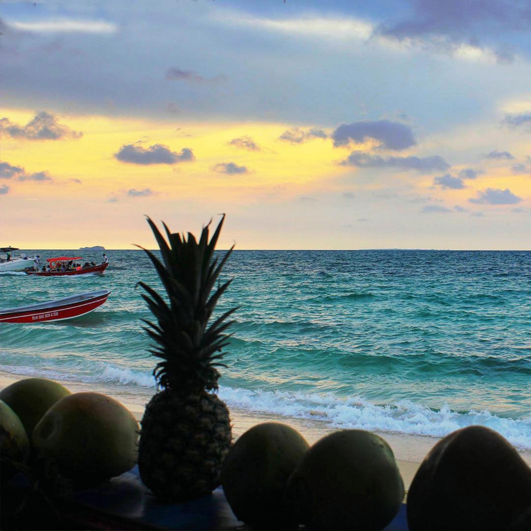 Pura Vida Baru - La Casa Del Cholo Hotel Pendales Buitenkant foto